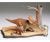 Chasmosaurus Diorama