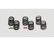 TRF Federn-Set Big Bore (3x2)