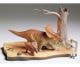 Chasmosaurus Diorama