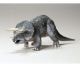 Triceratops Eurycephalus