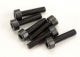 Cilinderkopschroef 2,5x10mm met zeskant (6)