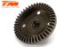 B8ER - Bevel Gear - 43T
